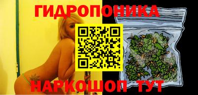 стаф Пыть-Ях