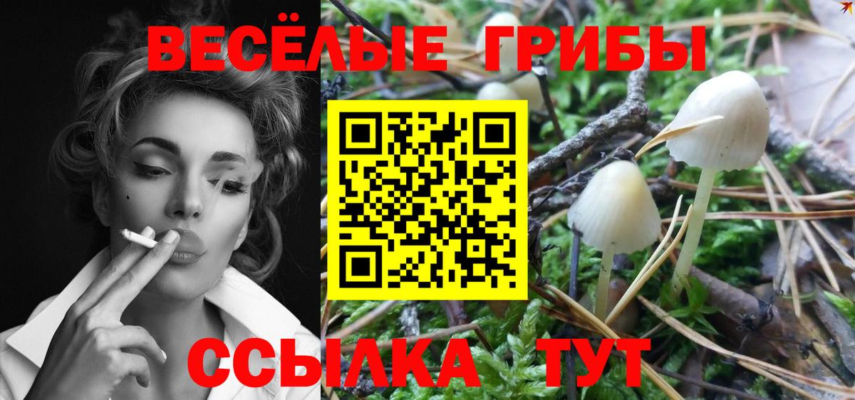 Галлюциногенные грибы ЛСД Семилуки