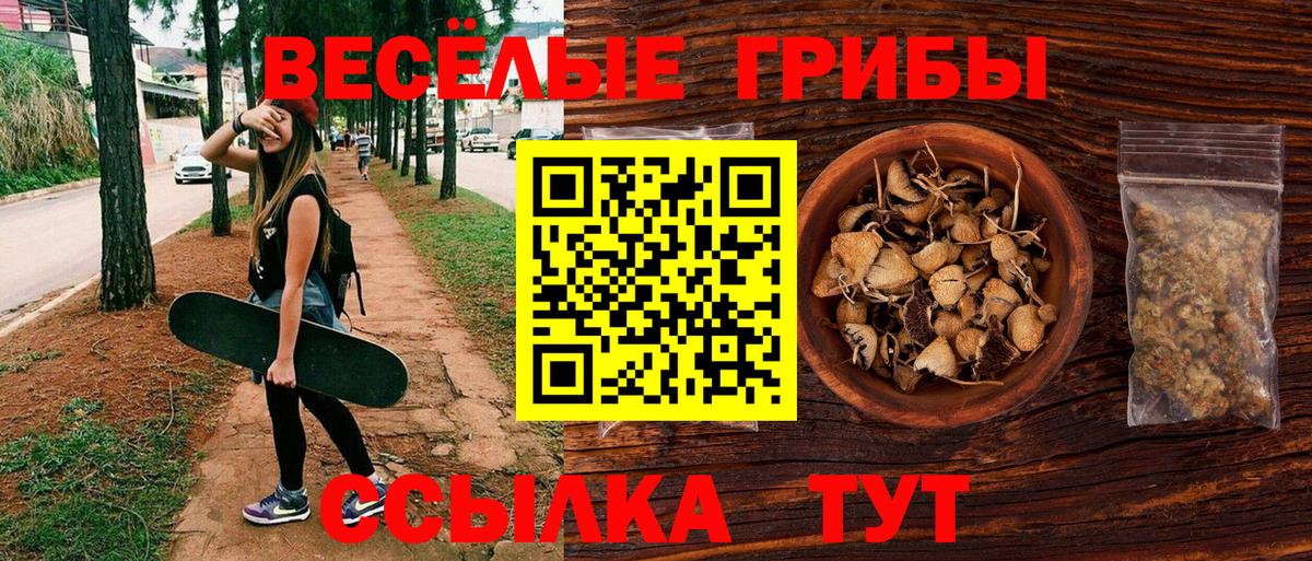 где продают   Псилоцибиновые грибы мухоморы  Вход с VPN  Семилуки 
